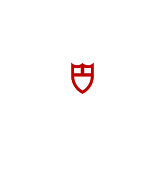 TUDOR Black Bay 39 S&G